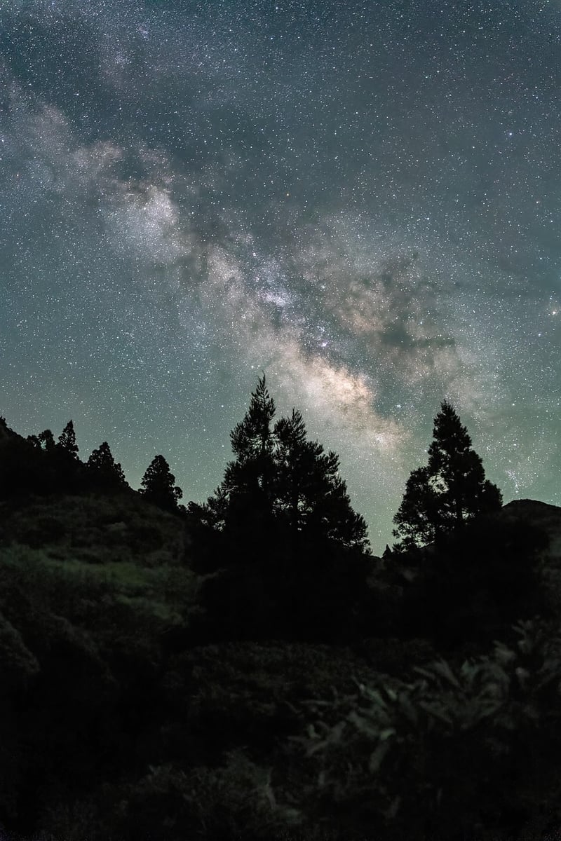 Milky Way Vows